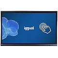 - igg318805 visualizzatore di messaggi pannello piatto per segnaletica digitale 165 1 cm (65') led