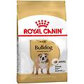bulldog adult alimento completo per cani di razza adulti e maturi oltre 12 mesi di età 12kg