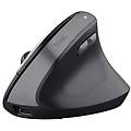 Trust Mouse Bayo Ii Ergonomico Wireless Verticale 25145