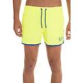 boxer mare lime