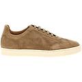 sneaker suede