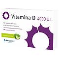 belgium bvba vitamina d 4000 u. i. 84 compresse integratore con dolcificante naturale alla stevia