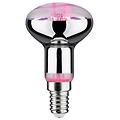 Paulmann Lampadina Per Piante A Led E14 R50 4w