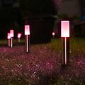 wifi garden pole mini 22 7cm 3x
