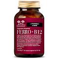 ferro + b12 integratore ferro e vitamina b12 60 capsule