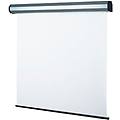 electric professional schermo per proiettore 2 69 m (106") 4 3 (5251)