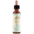 pharma italia srl fiori di bach beech 20 ml