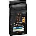 purina pro plan large robust puppy healthy start cibo secco con pollo cani adulti 12kg