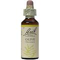 bach olive 20 ml