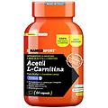 namedsport srl acetil l-carnitina 60 capsule