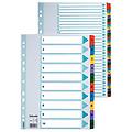 esselte pz. 1 rubrica mylar a-z multicolor a4 100166
