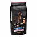 purina pro plan large athletic adult sensitive skin cibo secco con salmone cani adulti 14 kg