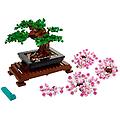 albero bonsai 10281