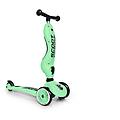 Scoot And Ride Highwaykick 1 Kiwi