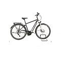 ebike ricondizionata · premio evo 10 lite · buone condizioni