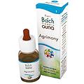 gun gocce 10 ml