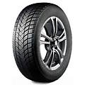 winter lander 215/65 r16 98h