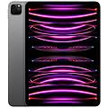 ipad 11 pro wi-fi 2tb grigio siderale (mnxm3ty/a)