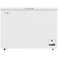 - congelatore a pozzetto fcc300e fcc300e