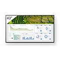 43 4k 24/7 professional bravia