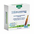 biocollagenix ampolle trattamento concentrato anti et&agrave; 30 x 1 8ml