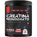 t-rex creatina monoidrato polvere integratore per sportivi in polvere gusto frutti di bosco 250g