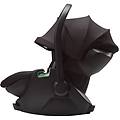 ovetto neonato maple black black