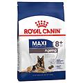 italia spa maxi ageing 8+ crocchette 15kg