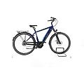 ebike ricondizionata · c004 · buone condizioni advanced e-bike
