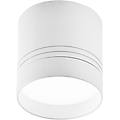 plafoniera tonda bianco alluminio/pmma 3000k 25w ac 220-240v 2000 lm ø128 mm altezza 128 mm