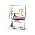 nextmune italy srl original epato plus 750 alimento complementare per gatti a supporto della