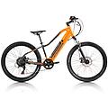 bici elettrica a pedalata assistita bambino goblin mtb 24