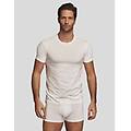 maglia girocollo a maniche corte in modal basic / bianco ottico / xl bianco ottico