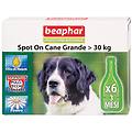 b. v. protezione nat spot on cane tg