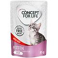 kitten senza cereali manzo in gelatina set % 48 x 85 g