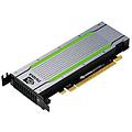 Pny Tesla T4 16 Gb Gddr6 Pci Ex 3 0 16x
