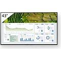 fw-43bz30l 43" display