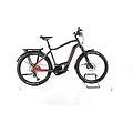 ebike ricondizionata · trekking 9 · buone condizioni