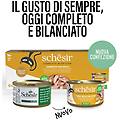 cat lattina multipack 12x85g tonnetto con pollo