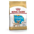 chihuahua puppy cibo secco per cani 1 5kg
