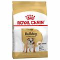 bulldog adult 12 kg (scadenza 07/05/2026) croccantini per cani 1&deg; ordine? scegli tra bzr5 bzr20
