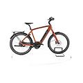 ebike ricondizionata · shadow 65 tr auto belt · buone condizioni