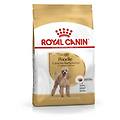 italia srl cane poodle adult 1 5kg