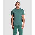 maglietta uomo mangrove-mangrove-light green