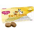 buona spa societa' benefit enterina integratore intestinale per cani 10 compresse supporto
