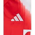 bayern monaco home 25-26 m maglia calcio ufficiale uomo rosso l