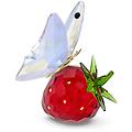 idyllia farfalla e fragola