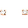 orecchini donna punto luce oro rosa gl101864