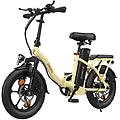 bicicletta elettrica d100 250w 36v 13ah 16 freni a disco portapacchi