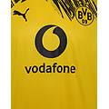 borussia home 25-26 m maglia calcio ufficiale uomo giallo